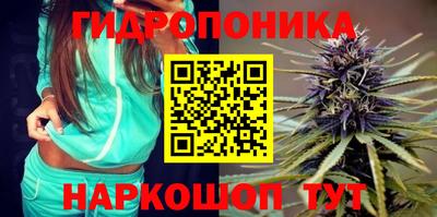 СК Бузулук