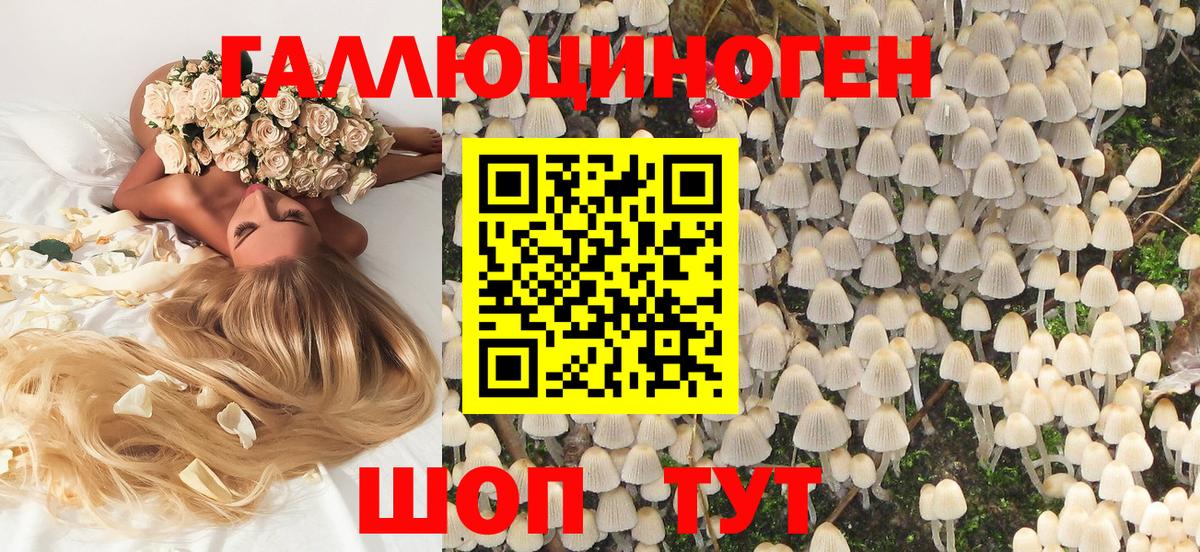 Галлюциногенные грибы Psilocybe  Вход с VPN  Галлюциногенные грибы Psilocybe  Усолье-Сибирское 
